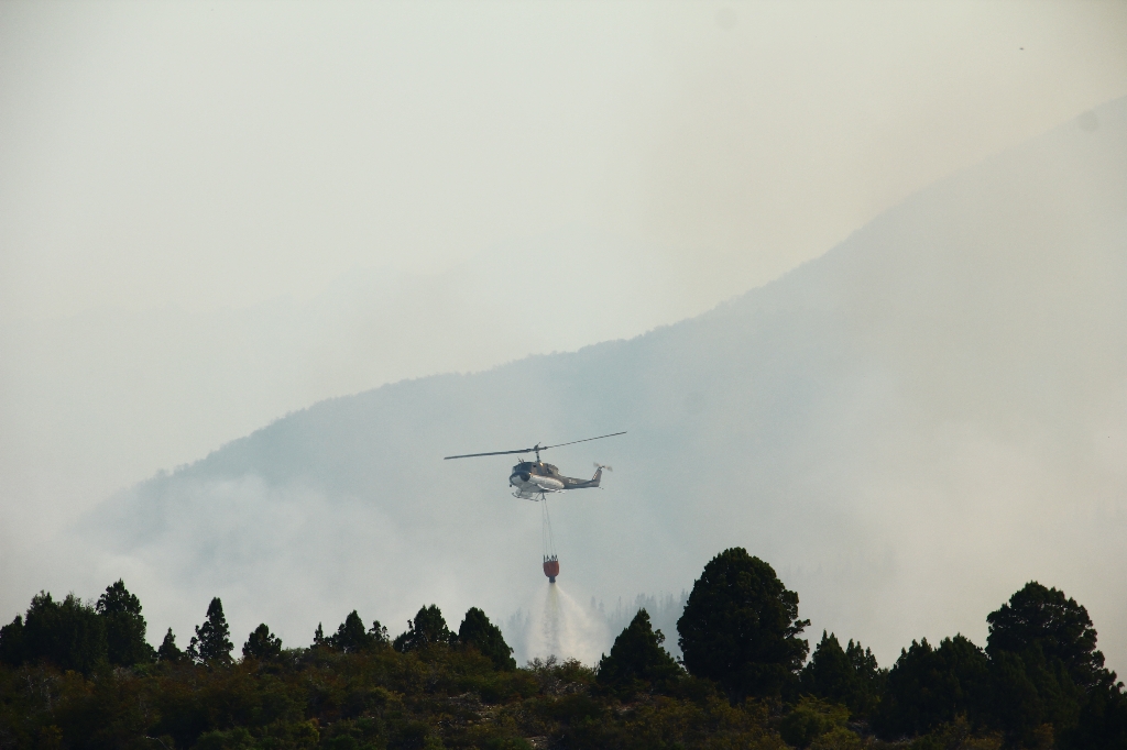 Combate incendio Cholila