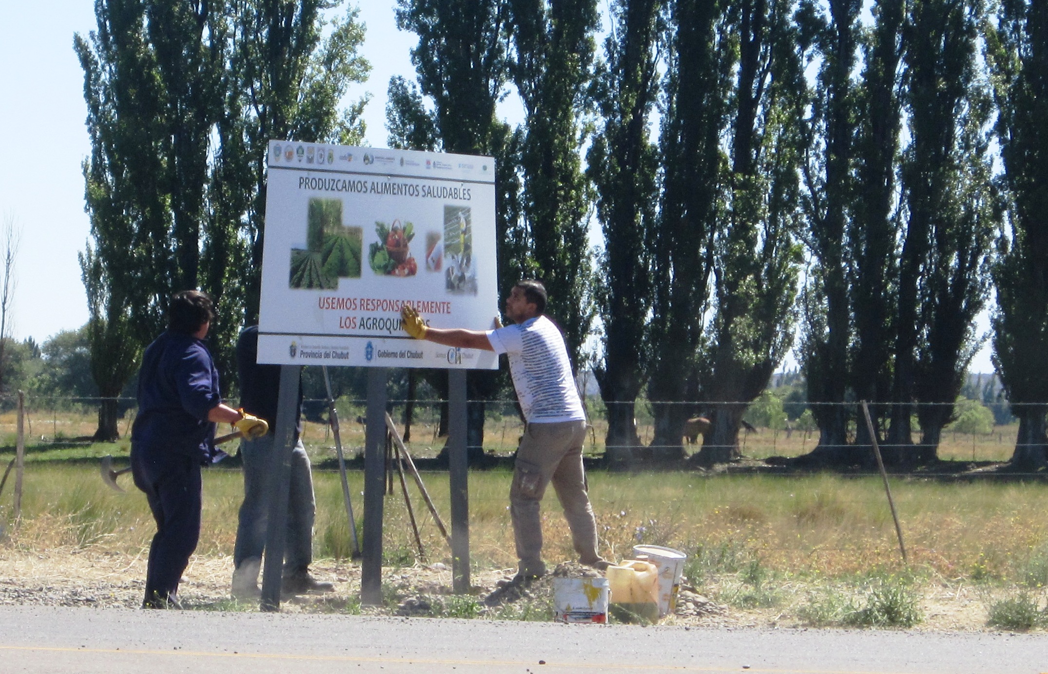 cartel Ley de AgroquÃ-micos