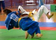 judo22