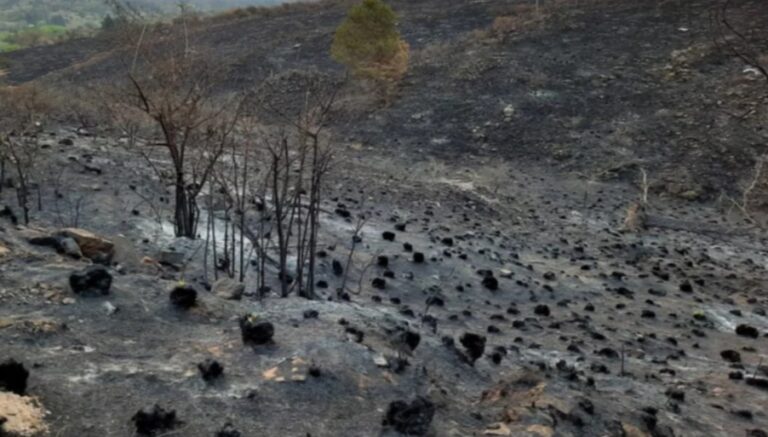 agricultura emergencia