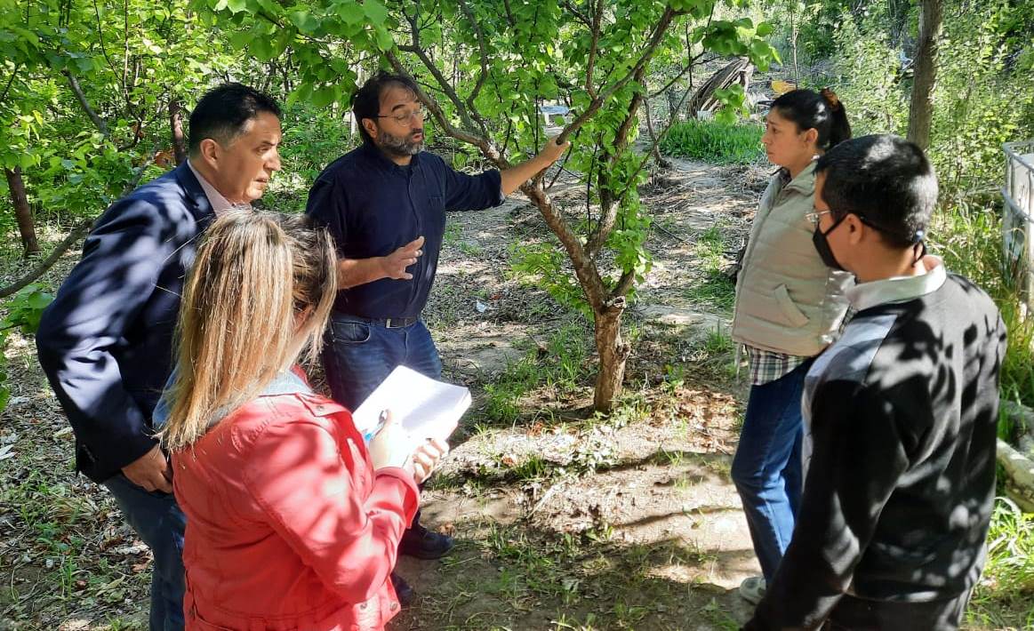 VISITA A PRODUCTORES